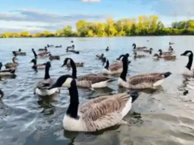 Parc Bernard-Landry - Parc des Prairies hike - nature and outdoors