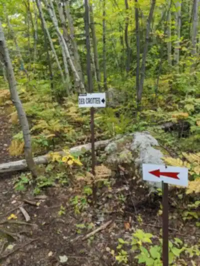 Les Collines D'alembert hike - nature and outdoors