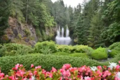 Hiking view of Butchart Gardens
