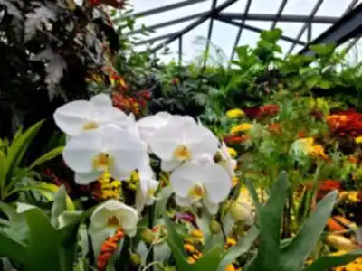 On the trails of Butchart Gardens