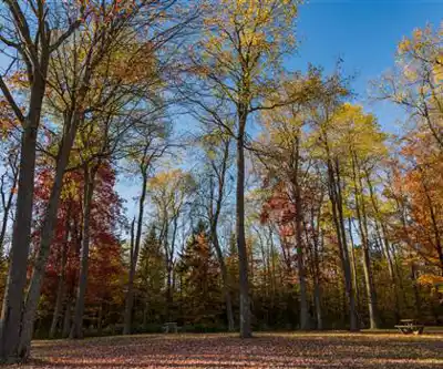 Sentier de randonnée Cranberry Lake Campground - paysage naturel