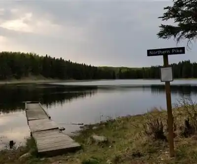 Sentier de randonnée Duck Mountain Provincial Park - paysage naturel