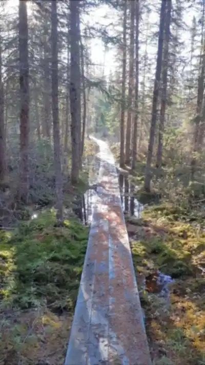Sentier De La Rivière Rupert hike - nature and outdoors