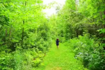 Explorer le sentier Parc du Lac-Aylmer