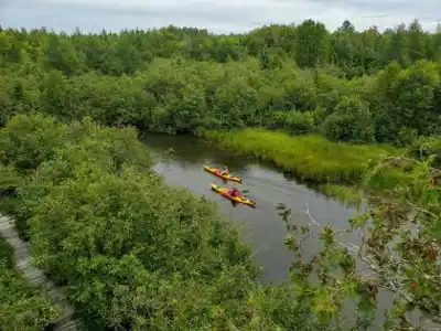 Balade en nature à Parc du Lac-Aylmer