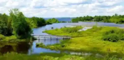 Vue en randonnée de Parc du Lac-Aylmer