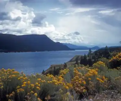 Windermere Lake hiking trail - natural landscape