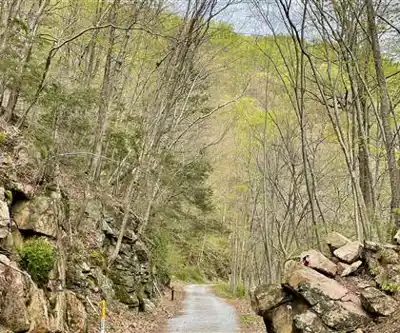 Sentier de randonnée Voorhees State Park - paysage naturel