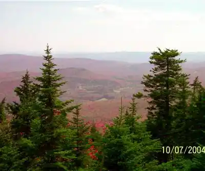 Okemo Mountain Resort hiking trail - natural landscape