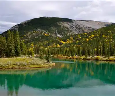 Sentier de randonnée Bragg Creek Provincial Park - paysage naturel