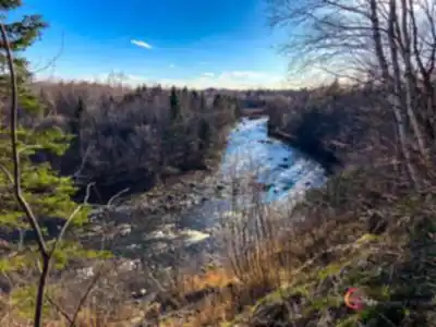 Parc Chauveau hike - nature and outdoors