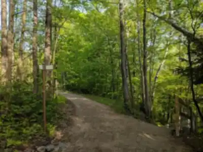 Parc Chauveau hiking trail - natural landscape