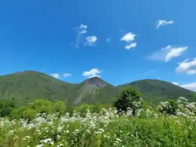 Discover Réserve faunique des Chic-Chocs in Gaspésie - Îles-de-la-Madeleine