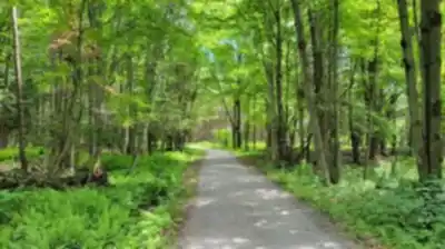 Découvrir Parc national de la Yamaska en Centre-du-Québec