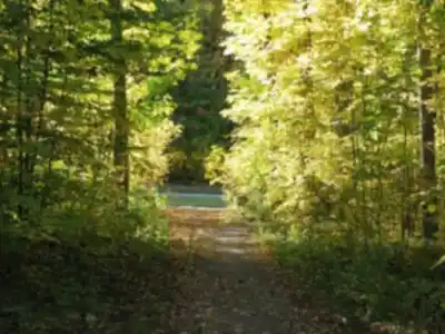 Discover La Réserve Naturelle Du Boisé-Roger-Lemoyne in Laurentides