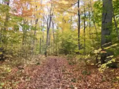 La Réserve Naturelle Du Boisé-Roger-Lemoyne hiking trail - natural landscape