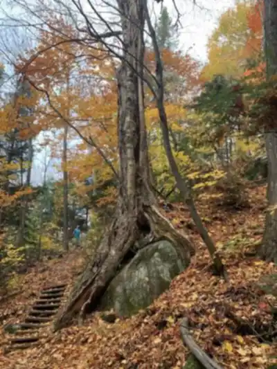 Parc ÉCO Laurentides (CTEL) - Centre Touristique Et Éducatif Des Laurentides scenery - hiking