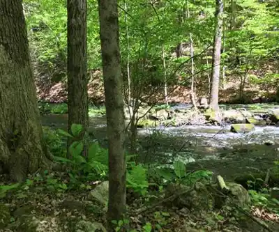 Cascade Lake Park hike - nature and outdoors