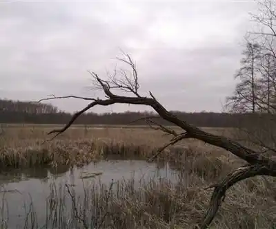Sentier de randonnée Stafford Lake - paysage naturel