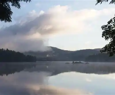 Treadway Mountain Trail hiking trail - natural landscape