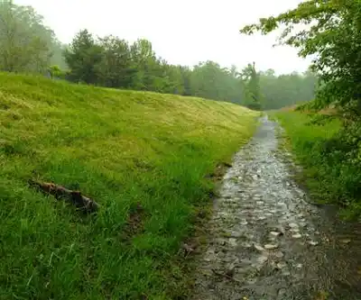 Watchung white purple trails hiking trail - natural landscape