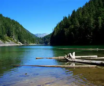 Sentier de randonnée Greendrop Lake - paysage naturel
