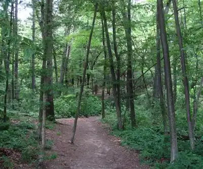 Sentier de randonnée Wilson Mountain Reservation - paysage naturel