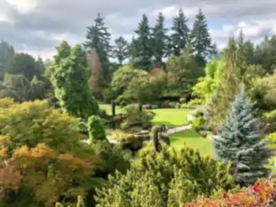 Queen Elizabeth Park hiking trail - natural landscape