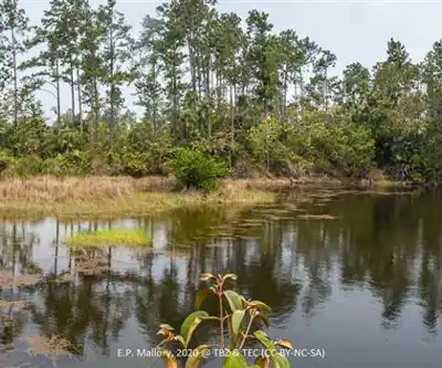 Hasse Lake hiking trail - natural landscape