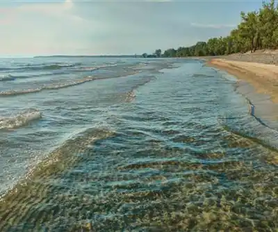 Sentier de randonnée North Beach Provincial Park - paysage naturel