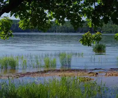 Restoule Provincial Park hiking trail - natural landscape