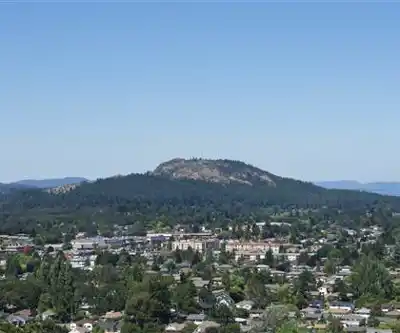 Mt Tolmie hiking trail - natural landscape