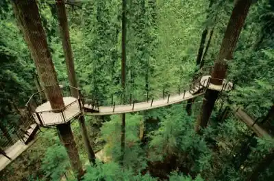 Découvrir Capilano Suspension Bridge Park en Montagnes Côtières de Vancouver