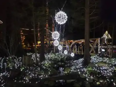 Randonnée Capilano Suspension Bridge Park - nature et plein air