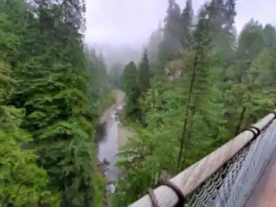 Sentier de randonnée Capilano Suspension Bridge Park - paysage naturel