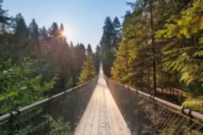 Sur les sentiers de Capilano Suspension Bridge Park