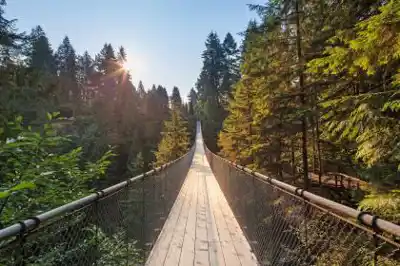 Sentier de randonnée Capilano Suspension Bridge Park - paysage naturel