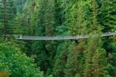 Balade en nature à Capilano Suspension Bridge Park