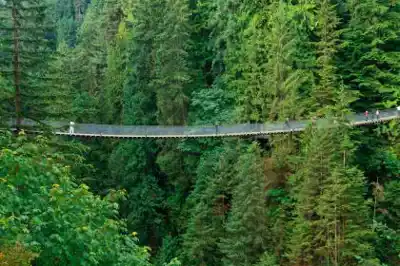 Vue en randonnée de Capilano Suspension Bridge Park