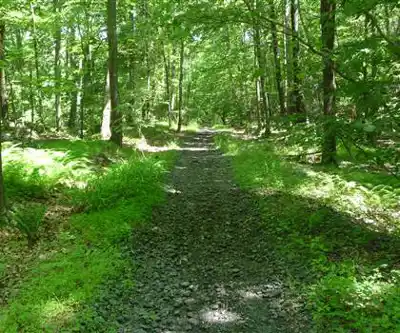 Sentier de randonnée Egbert's Lake Park - paysage naturel