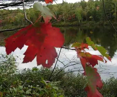 Smalls Falls Rest Area and Trailhead hiking trail - natural landscape