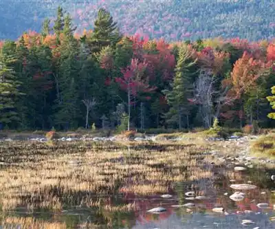 Sentier de randonnée Livermore N Trailhead - paysage naturel
