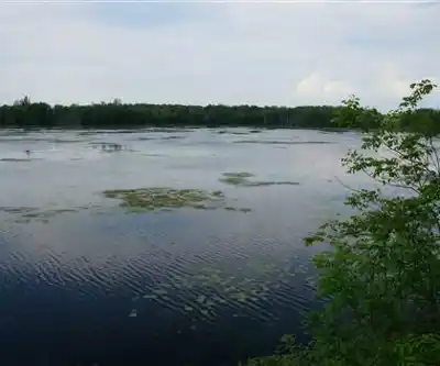 Sentier de randonnée Pinehurst Lake - paysage naturel