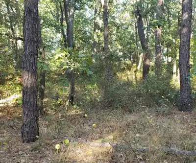 Warwick City Park hiking trail - natural landscape