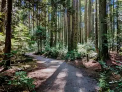 Découvrir Pacific Spirit Regional Park en Montagnes Côtières de Vancouver