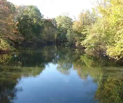Rahway River Park hiking trail - natural landscape