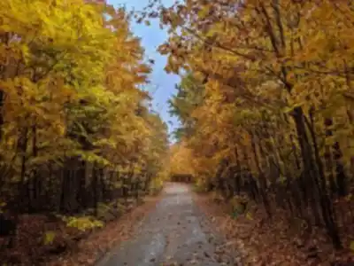 Découvrir Réserve Faunique De Papineau-labelle en Laurentides