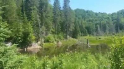 Explorer le sentier Réserve Faunique De Papineau-labelle