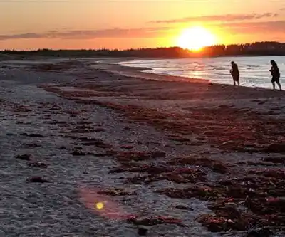 Melmerby Beach Provincial Park hiking trail - natural landscape