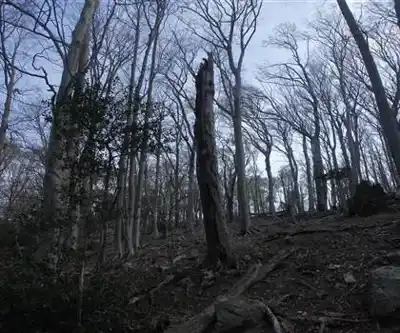 Tour de la Massane hiking trail - natural landscape